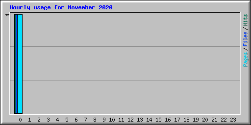 Hourly usage for November 2020